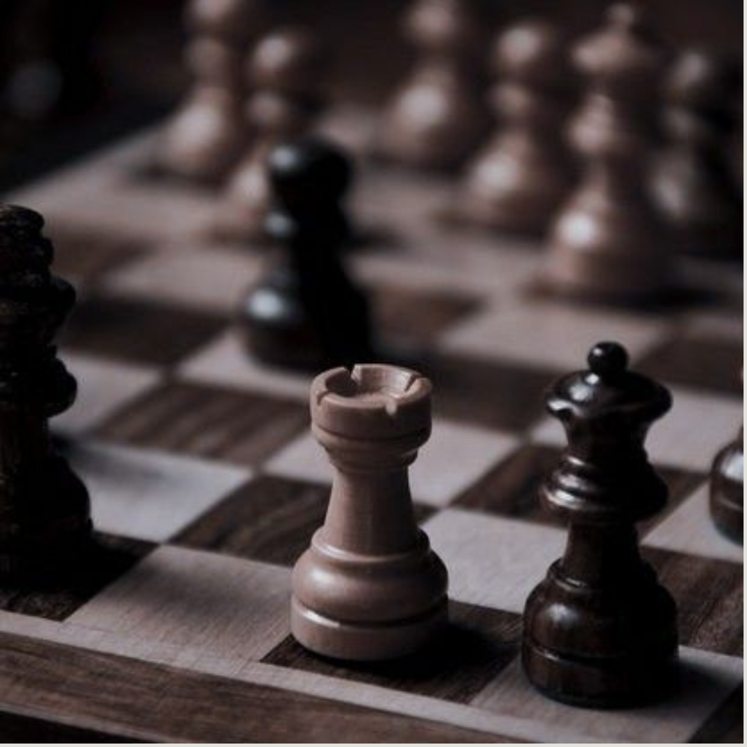 Seeding Ambition: Manifesting Stability & Security with the New Moon in Capricorn