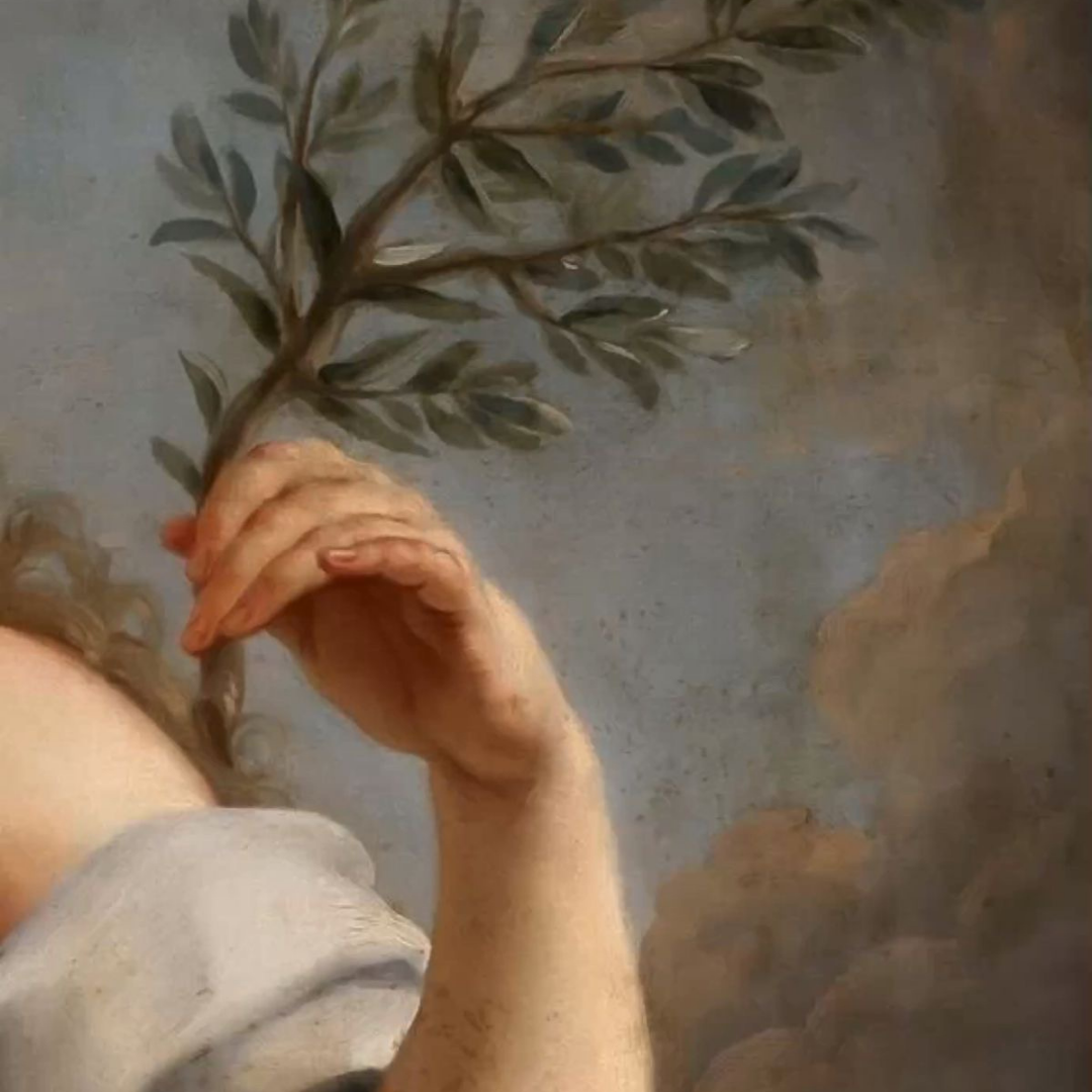 Grounded Growth: Embracing Release with the Full Moon in Virgo